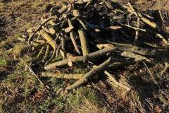 signal-2025-01-21-182218